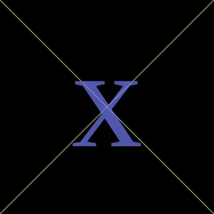 an X in a serif font centered in the image